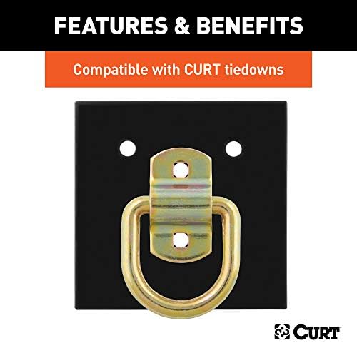 Curt Manufacturing Gloss Black Backing Plate for J600 and J704 Models - Part 83607