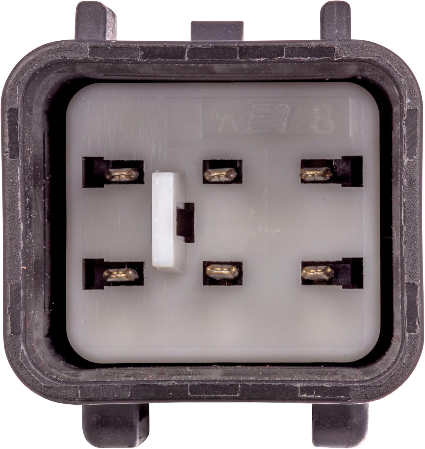 Curt Manufacturing 56551 25' Carnival Without LED Taillights Vehicle and Trailer Wiring Harness