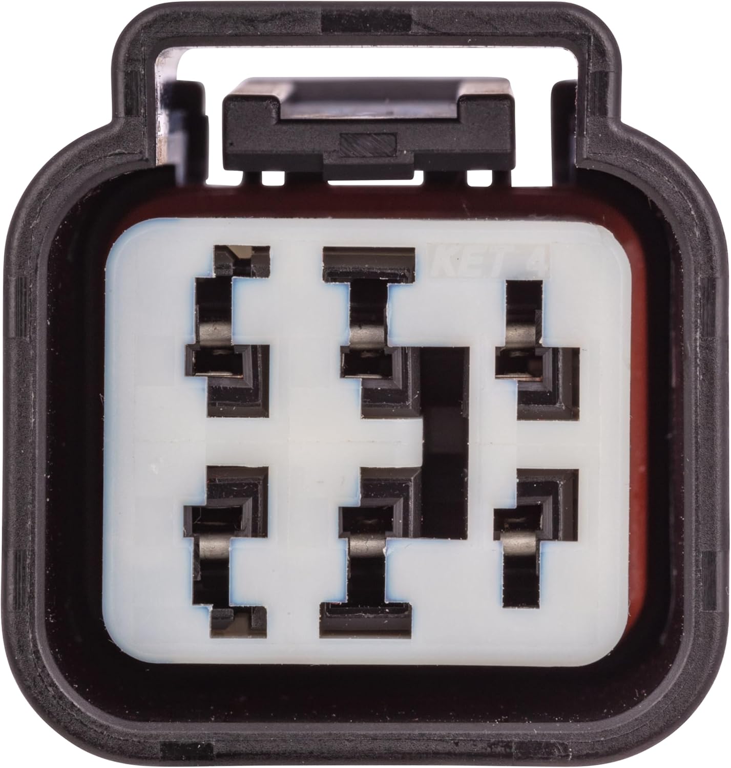 Curt Manufacturing 56551 25' Carnival Without LED Taillights Vehicle and Trailer Wiring Harness