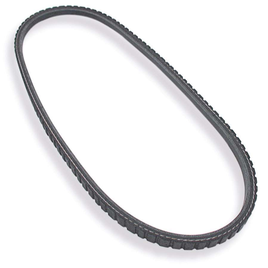 ALLSTAR PERFORMANCE V-Belt 31.5 in Long - Part Number ALL86120