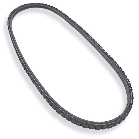 ALLSTAR PERFORMANCE V-Belt 39 in Long - Part Number ALL86122