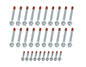 ALLSTAR PERFORMANCE LS Head Bolt Set 2004-06 Gen III - ALL87005